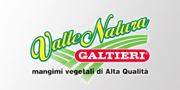 Galtieri 1240x620 Vallenatura Logo Web